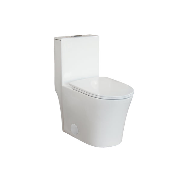 Toilette monopièce, allongée, double chasse